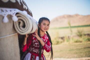 Фото номера Семейный номер Кемпинги Jaichy Yurt Camp г. Këk-Say 11